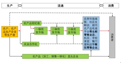 數(shù)智賦能 鏈通未來 我國生鮮農產品流通新趨勢及軟件開發(fā)展望